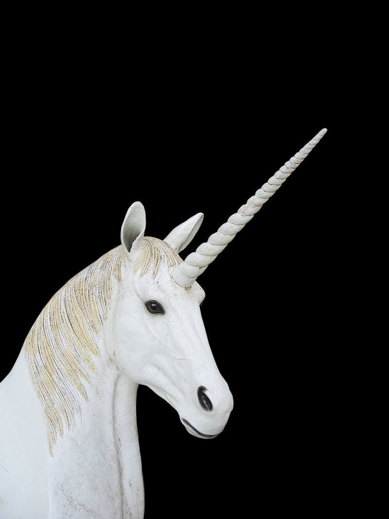 Fantasy Unicorn Image